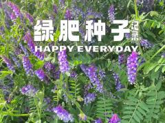 种业振兴政策解读与企业机遇
