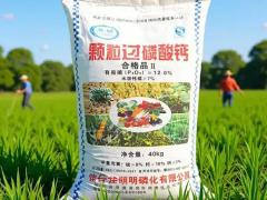 蔬菜种子区域代理招商