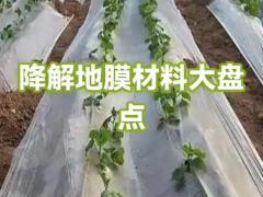 杂交水稻品种展示交易会