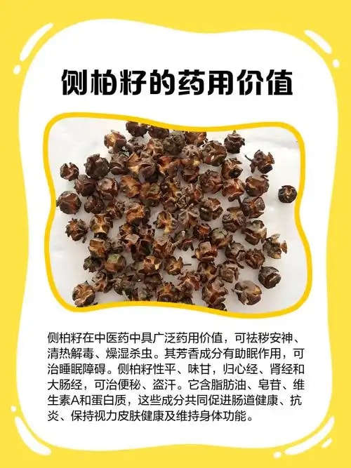 侧柏种子
