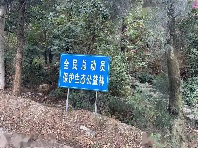 生态公益林管护权
