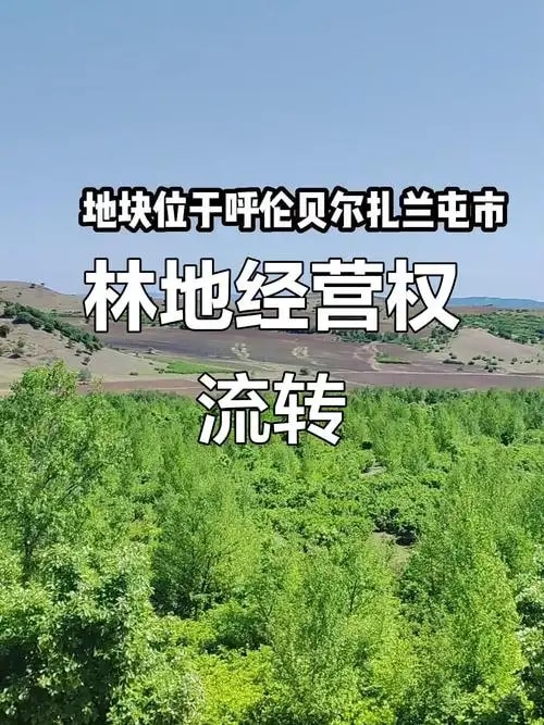 林地使用权流转