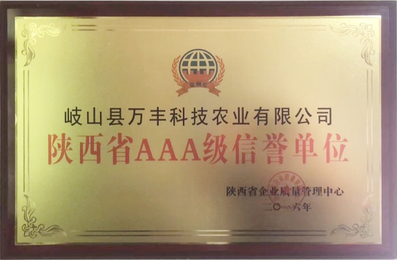 蔬菜瓜果种子栽培现场